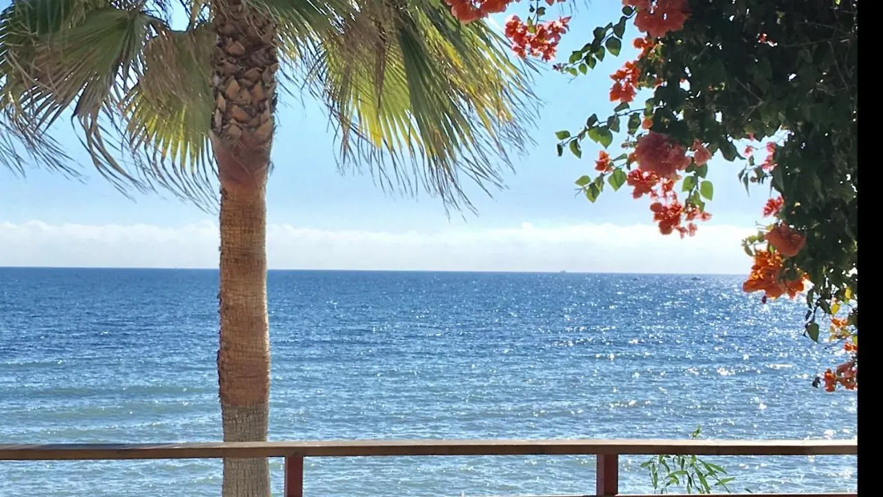 Mi Capricho 172 Beachfront Apartment Sitio de Calahonda
